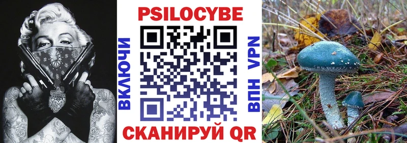Купить где  Слюдянка  Галлюциногенные грибы Psilocybe 
